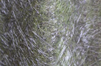 Upper Staploe fibreglass roof work